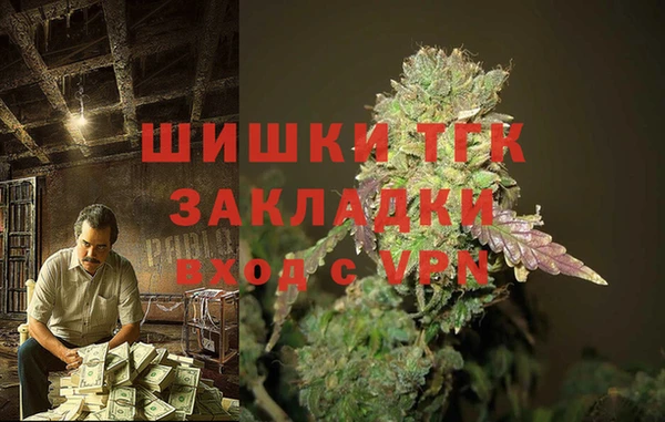 МДПВ Алзамай