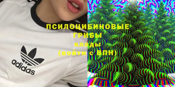 МДПВ Алзамай