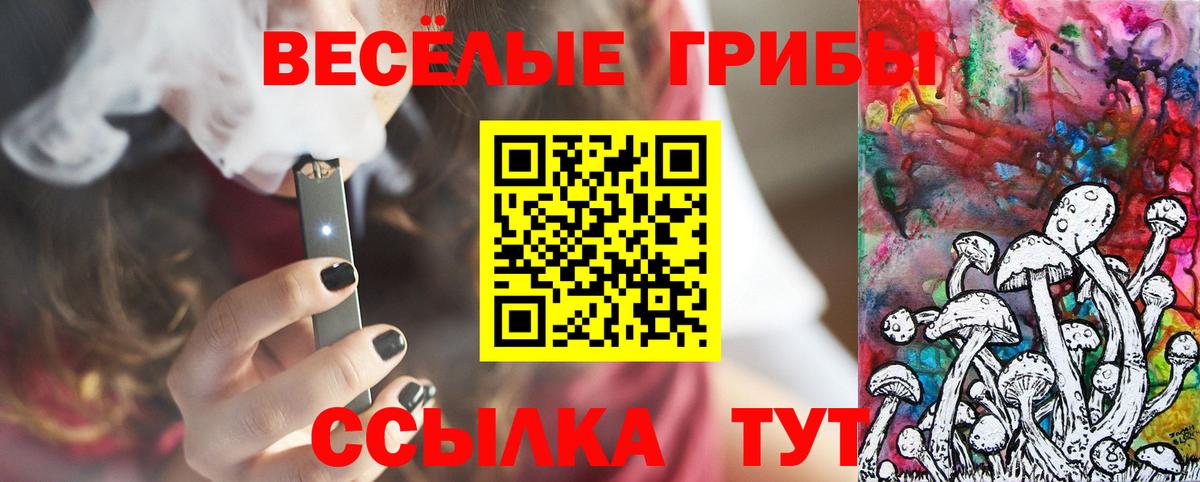 Галлюциногенные грибы Psilocybine cubensis  Псилоцибиновые грибы Cubensis  Узловая  Вход с VPN 