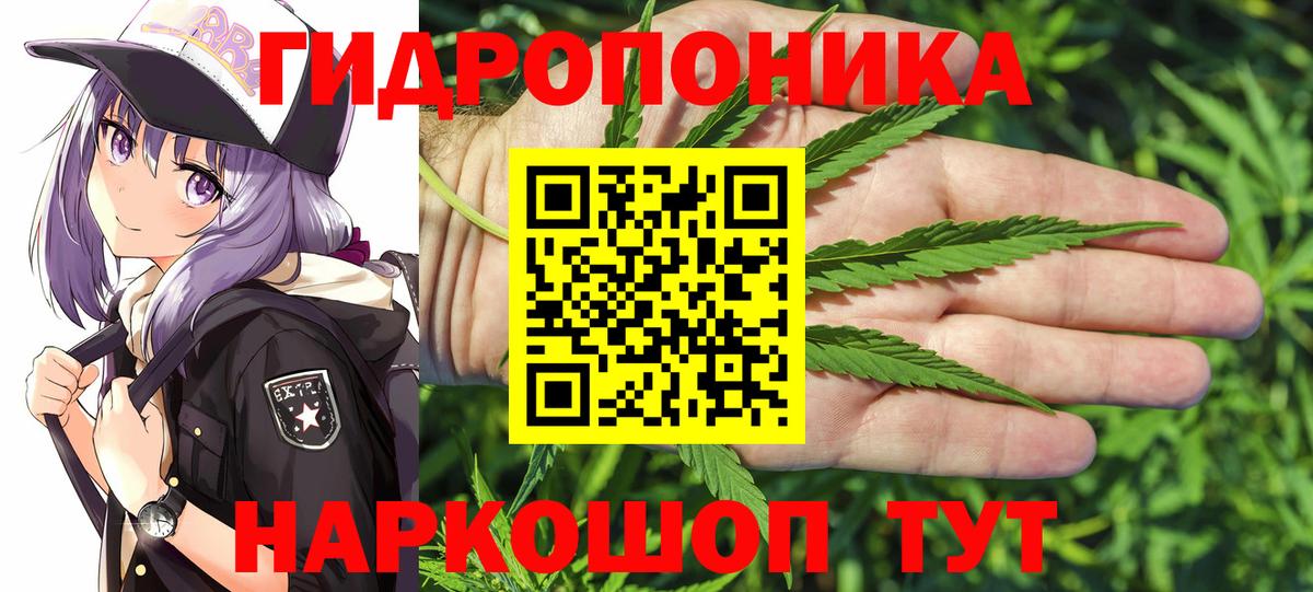 Бошки марихуана OG Kush  МАРИХУАНА тримм  Каннабис план  Канабис гибрид  Вход с VPN  Узловая 